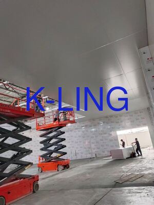 গোলমালের মাত্রা 65 ডিবি এর কম সফটওয়াল ক্লিন রুম ডাবল-লেয়ার ভ্যাকুয়াম অর্গানিক গ্লাস উইন্ডো সহ